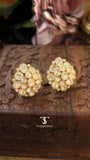 Ruhani Polki Earrings